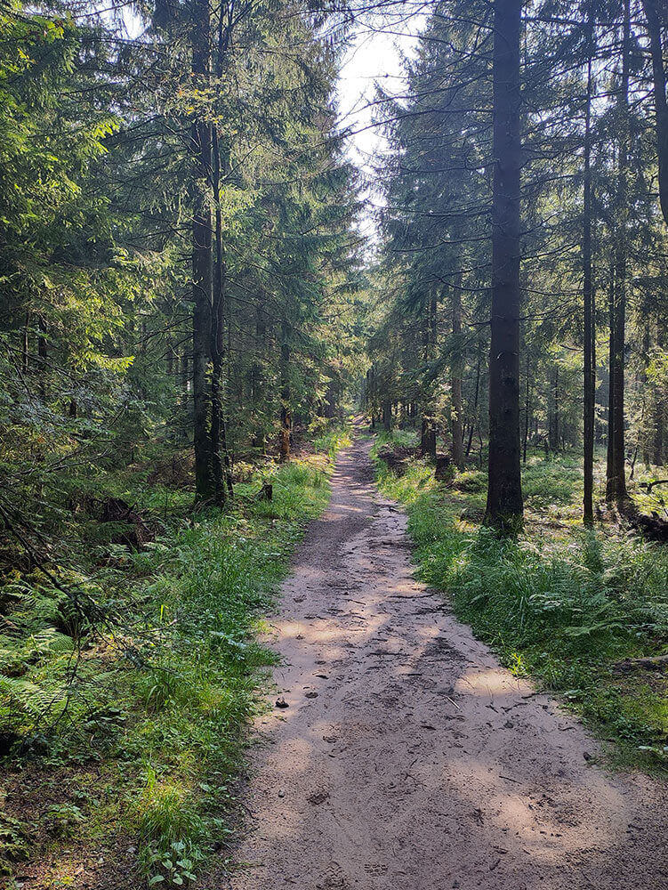Abenteuerhelden-ein-Lager-im-Wald